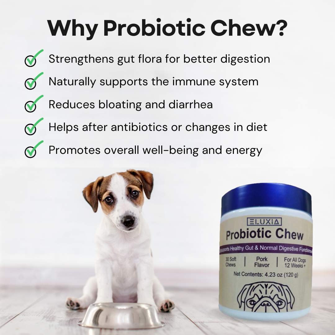 Probiotic Chew - Health-Promoting Probiotics for Dogs