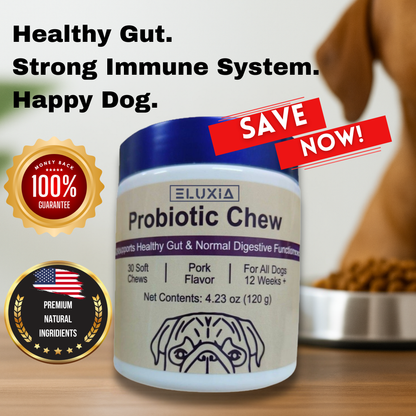Probiotic Chew - Health-Promoting Probiotics for Dogs